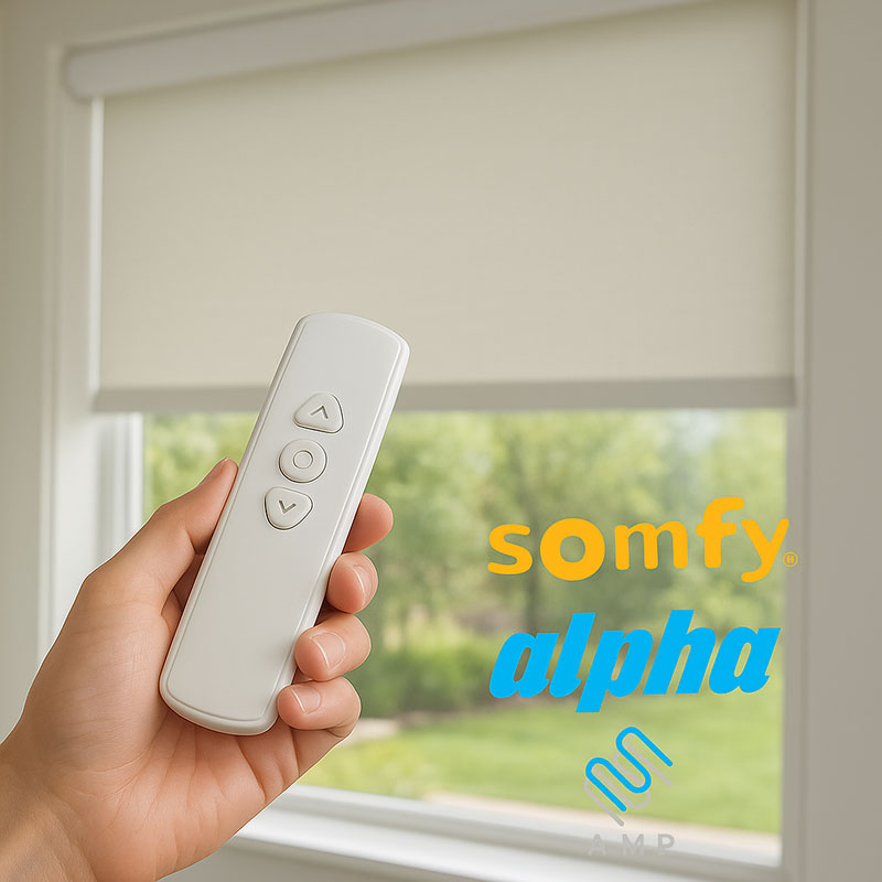 roller shades options
